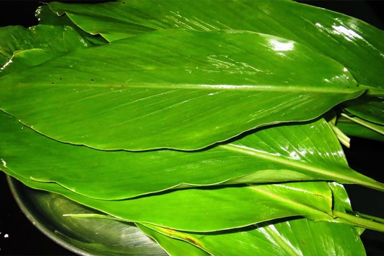 Culinary Purpose Or Medicinal Wonder Find Out What Makes Turmeric Leaves Tick 9300