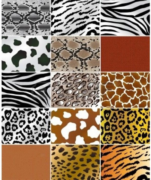 Animal Prints From Retro till Date, A NeverFading Fashion Trend