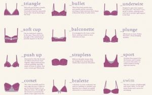 Top 35 Types Of Bra Revealed