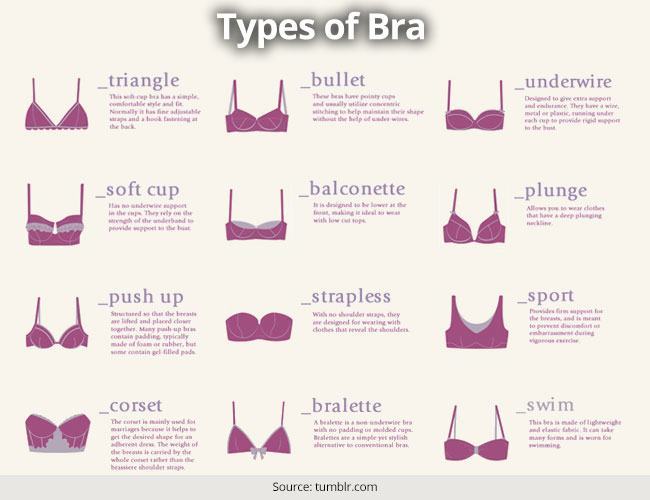 Top 20 Types of Bra Revealed
