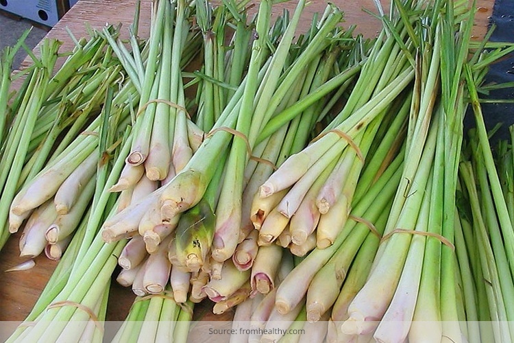 Surprising Health Benefits Of Lemongrass For Overall Well-Being