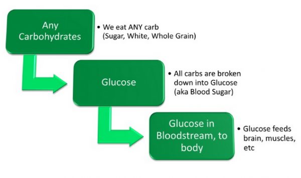 Types Of Carbohydrates Our Bodies Need Do You Know Your Carbs Well 2052