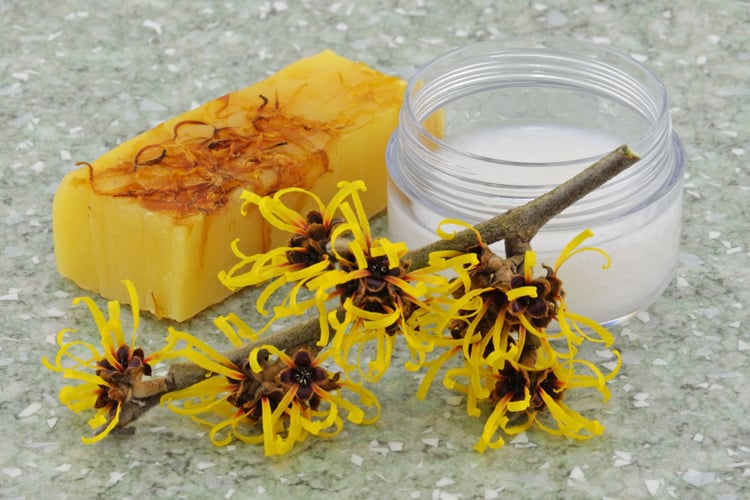 23 Surprising Witch Hazel Benefits For Skin Care