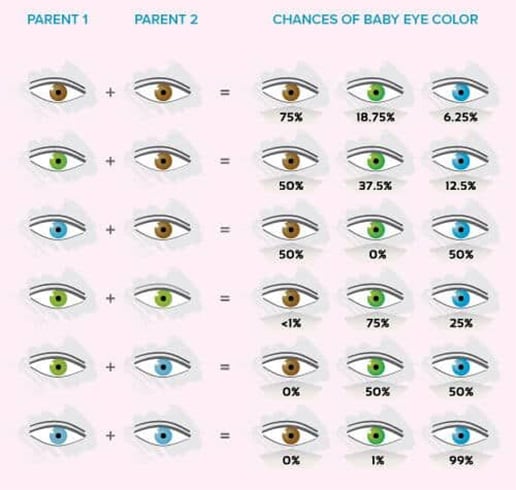 All About The Human Eye Color Chart Ovo Mod Fashion