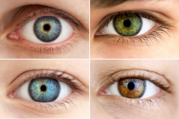 All About The Human Eye Color Chart