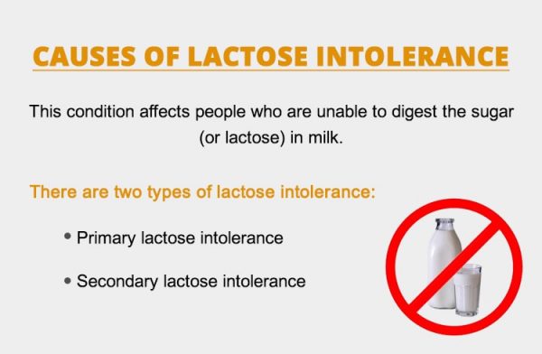 Lactose Intolerance Symptoms Causes Effects And Treatment Learn All   Causes Of Lactose Intolerance 600x392 