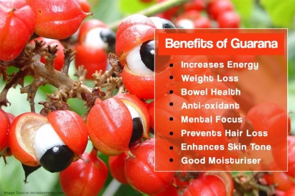 Benefits of Guarana, the Energy-booster Plant from Amazon Rainforest