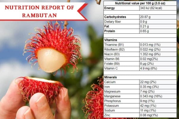 10 Health Benefits Of Rambutan