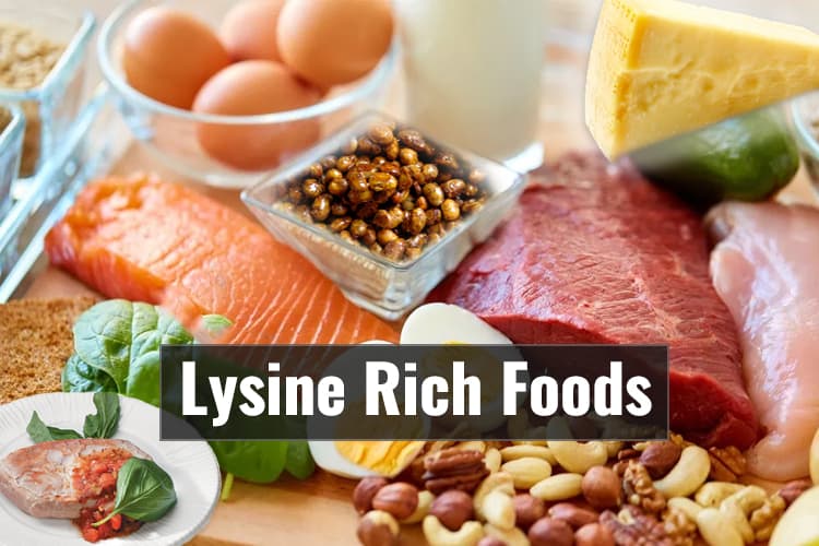 10 Best Lysine Rich Foods For Better Health