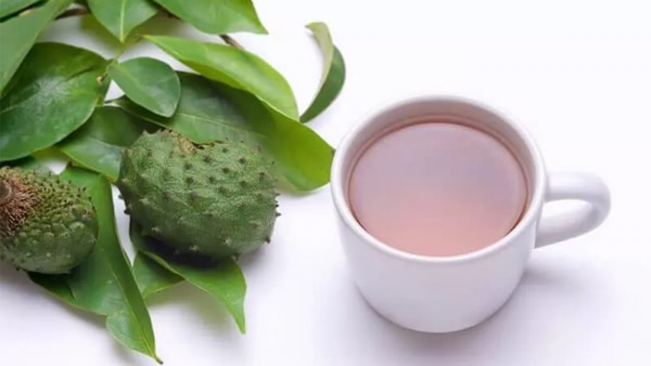 10 Incredible Guyabano Leaves Tea Benefits